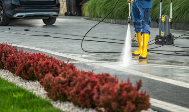 Best Roof Washing  in Valmeyer, IL